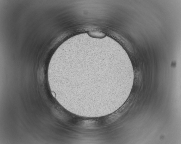 X0000116430158201001191518