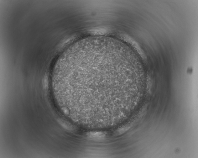 X0000116430161201001191518