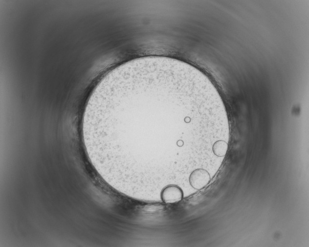 X0000116430162201001191518