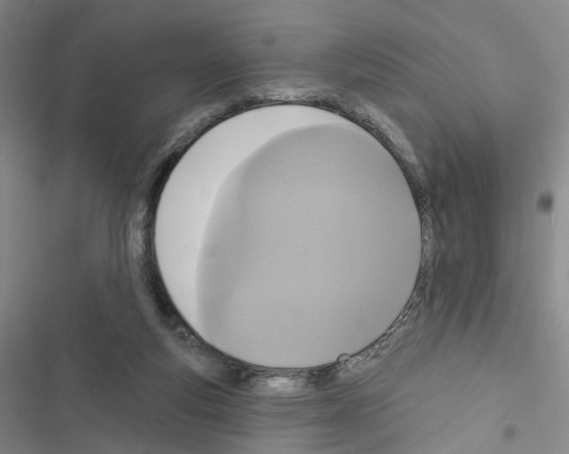 X0000116430163201001191518