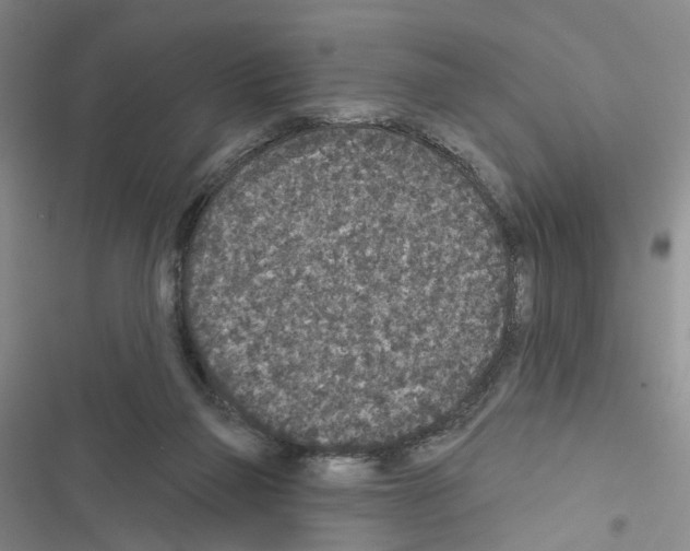 X0000116430165201001191518