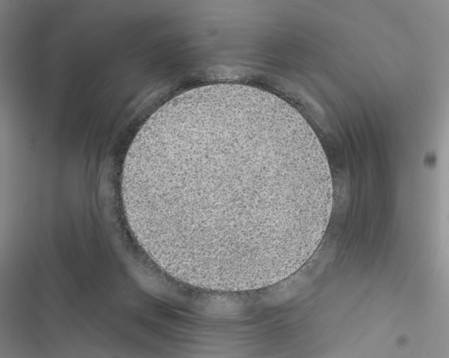 X0000116430166201001191518