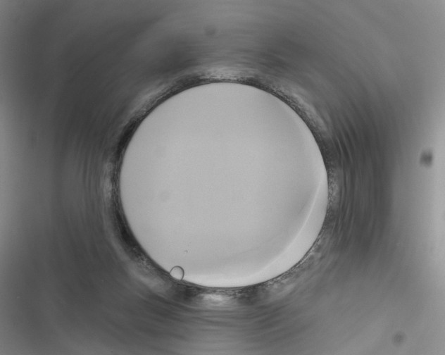 X0000116430167201001191518