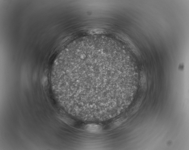 X0000116430169201001191518