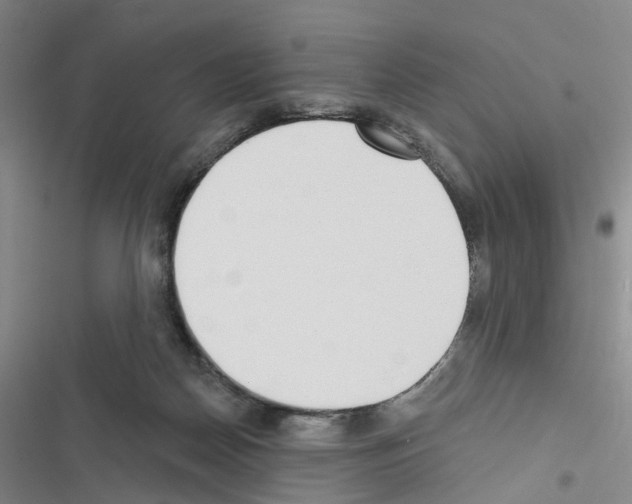 X0000116430170201001191518