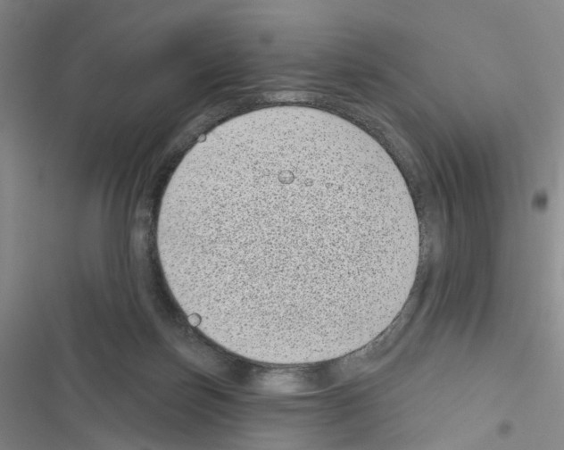 X0000116430171201001191518