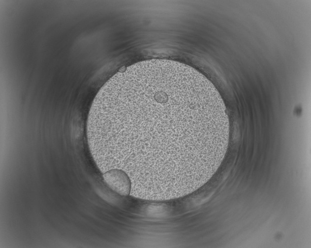 X0000116430173201001191518