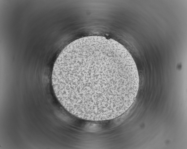 X0000116430174201001191518