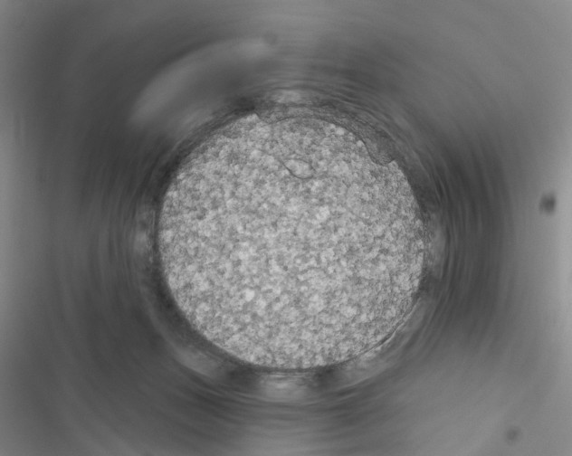 X0000116430175201001191518