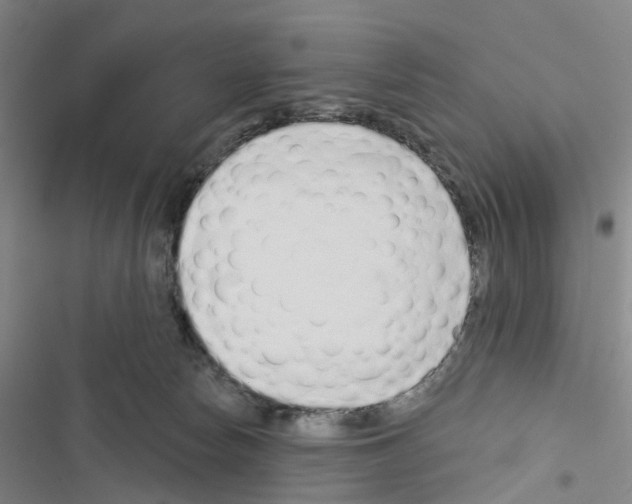 X0000116430178201001191518