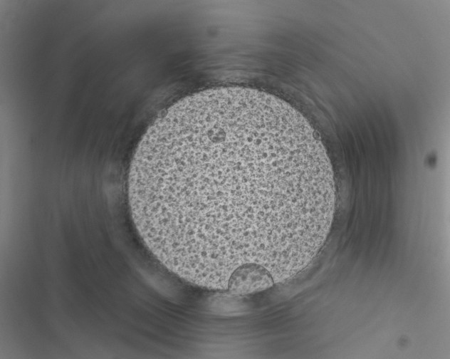 X0000116430179201001191518
