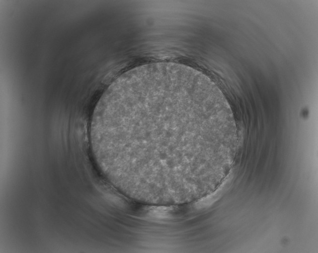 X0000116430182201001191518