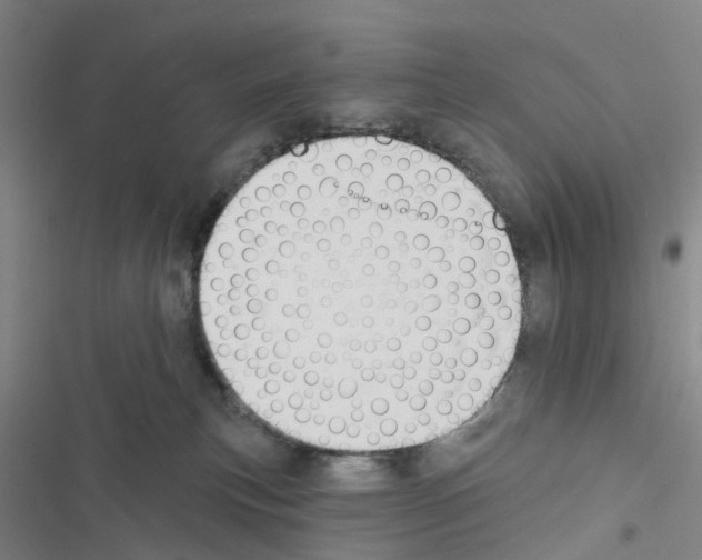 X0000116430183201001191518