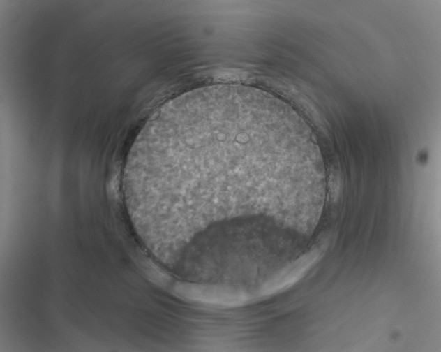 X0000116430185201001191518