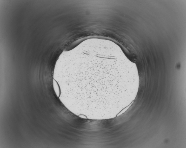 X0000116430186201001191518