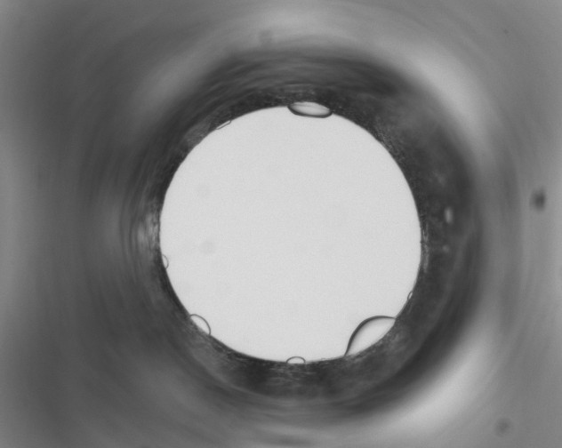 X0000116430190201001191518
