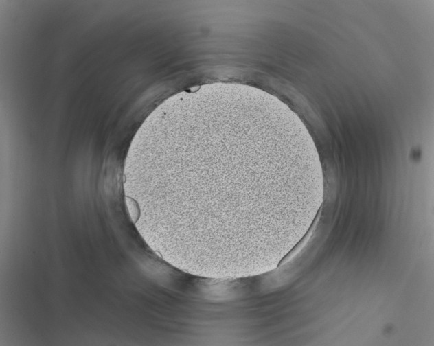 X0000116430191201001191518