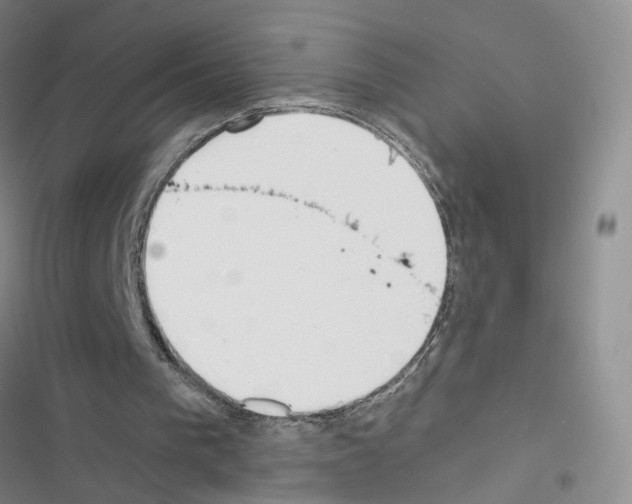 X0000116430193201001191518