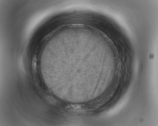 X0000116430194201001191518