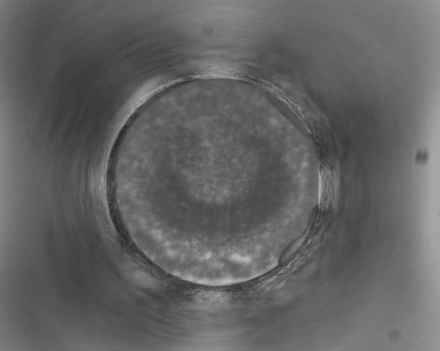 X0000116430195201001191518