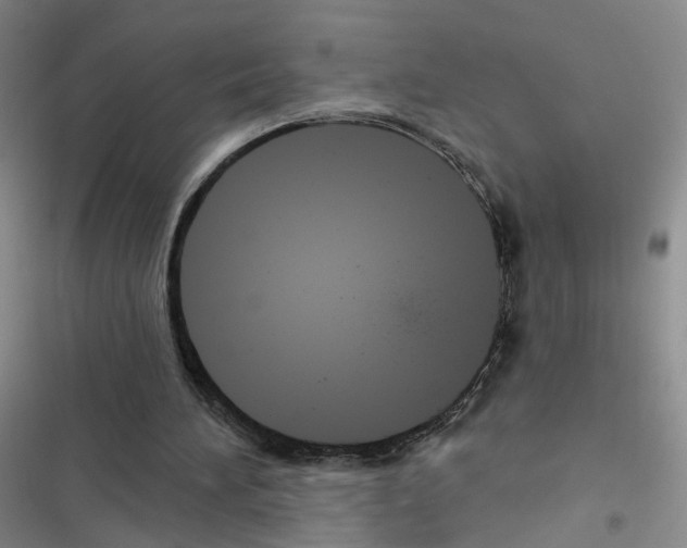 X0000116430196201001191518