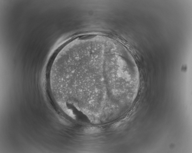 X0000116430198201001191518