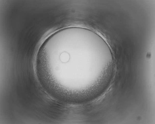 X0000116430199201001191518