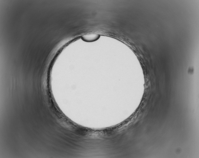X0000116430200201001191518