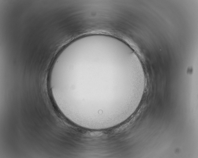 X0000116430201201001191518