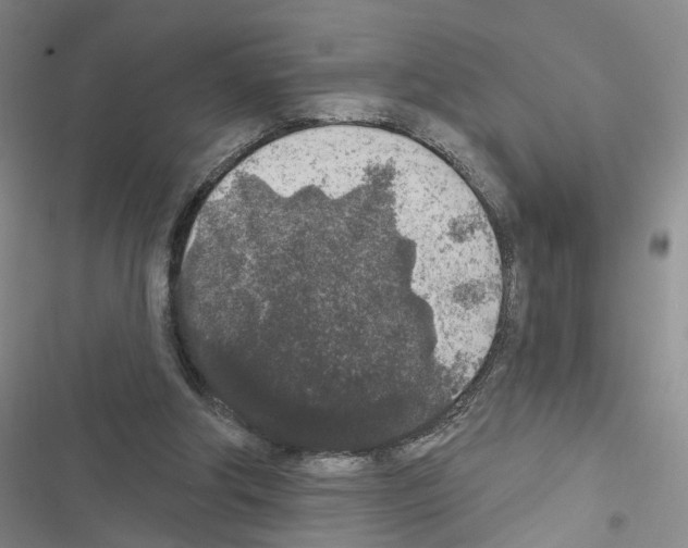 X0000116430202201001191518