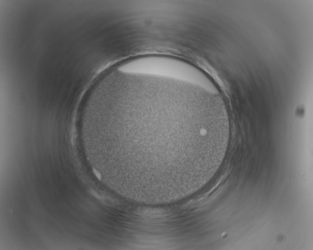 X0000116430203201001191518