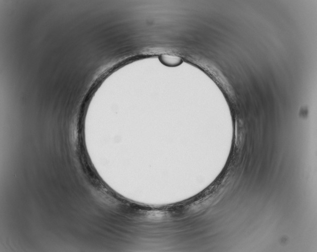 X0000116430204201001191518