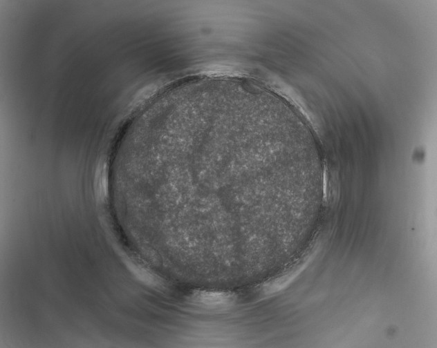 X0000116430205201001191518
