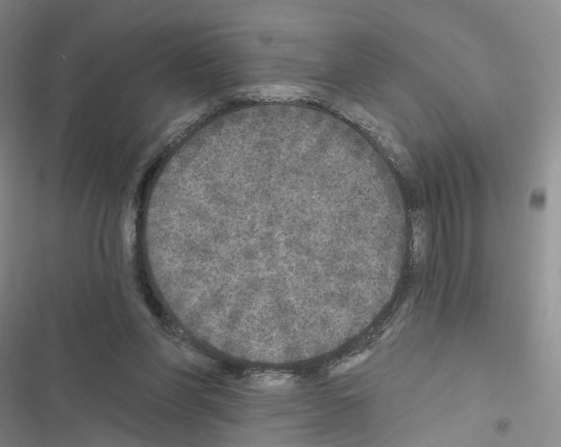 X0000116430206201001191518