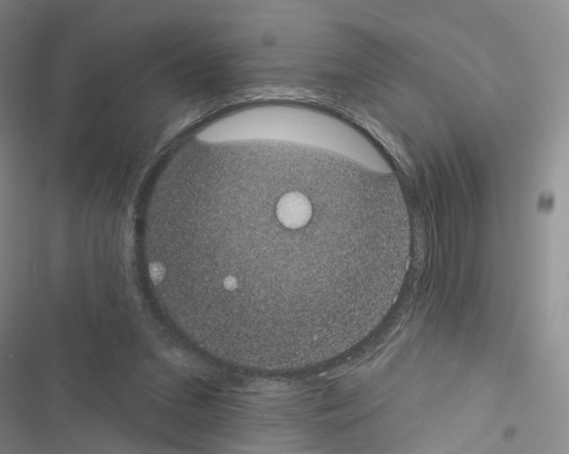X0000116430207201001191518