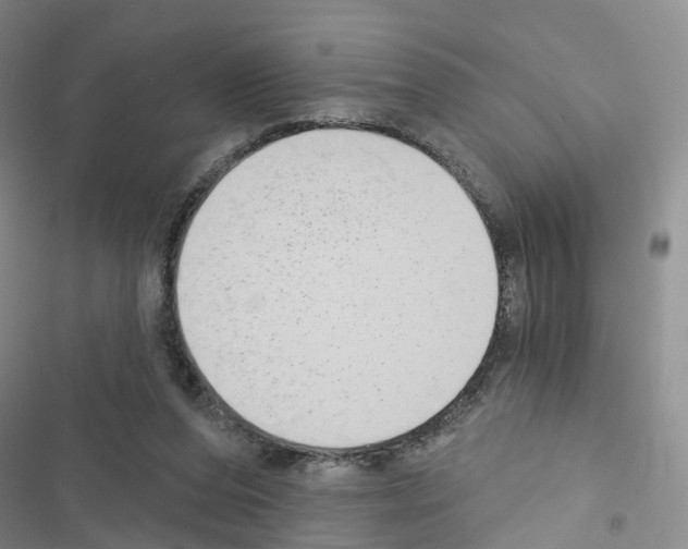 X0000116430208201001191518