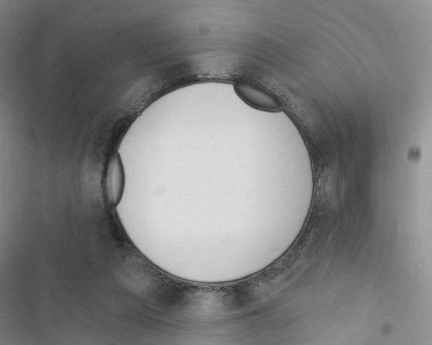 X0000116430209201001191518
