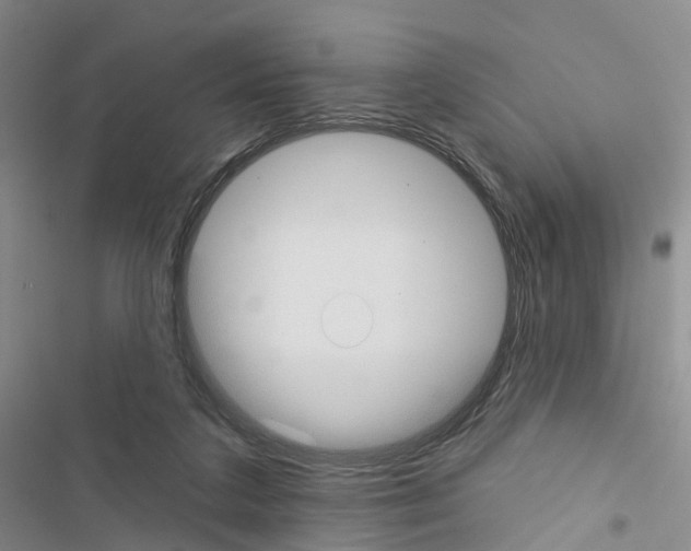 X0000116430211201001191518