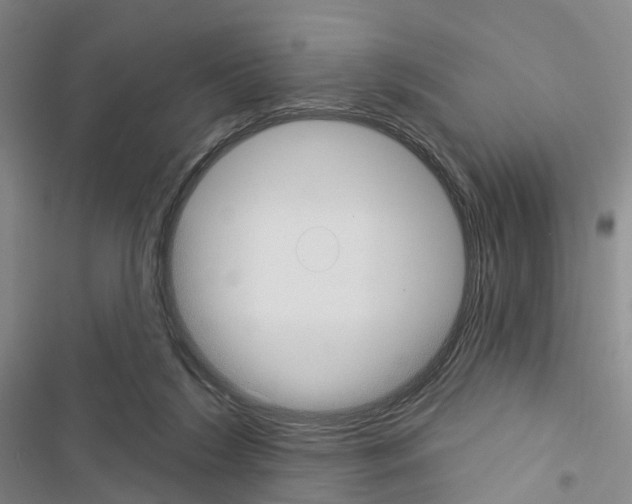 X0000116430212201001191518