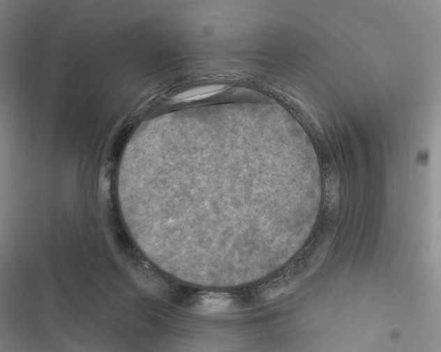 X0000116430214201001191518