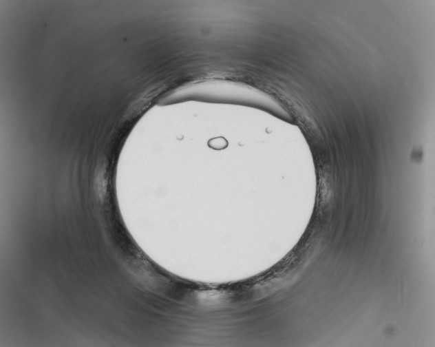 X0000116430216201001191518