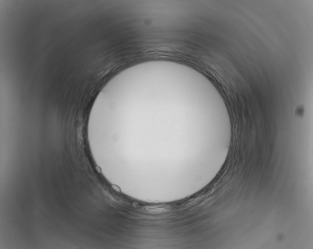 X0000116430219201001191517
