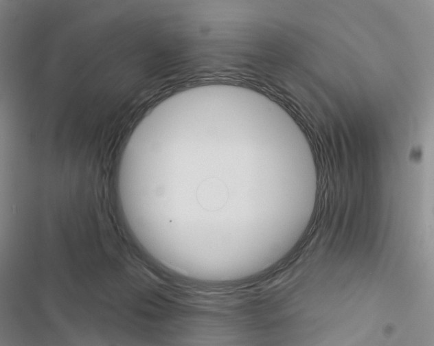 X0000116430223201001191517