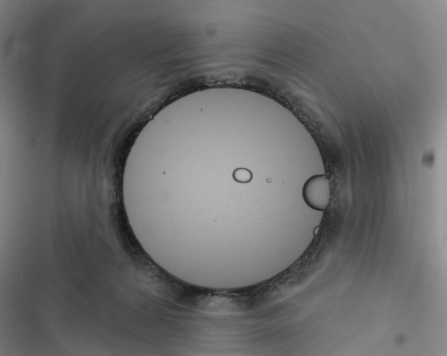 X0000116430224201001191517
