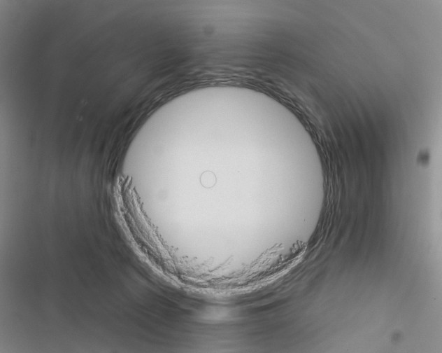 X0000116430225201001191517