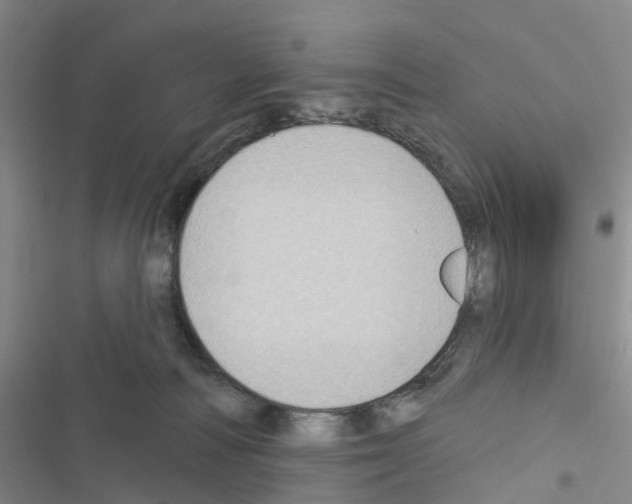 X0000116430226201001191517