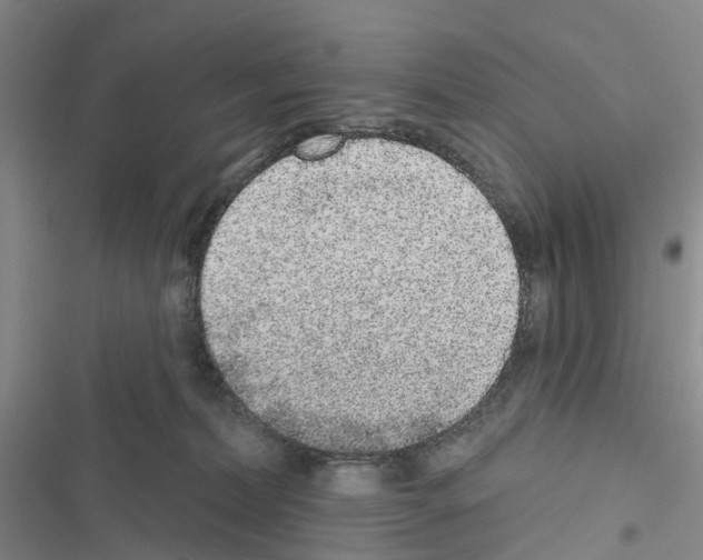 X0000116430228201001191517