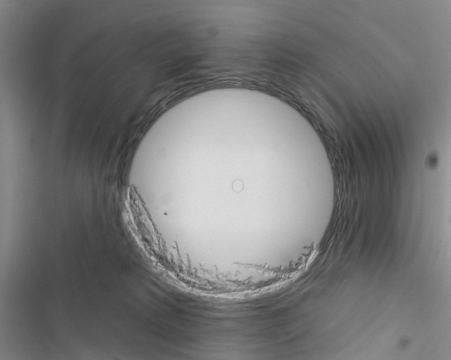 X0000116430229201001191517