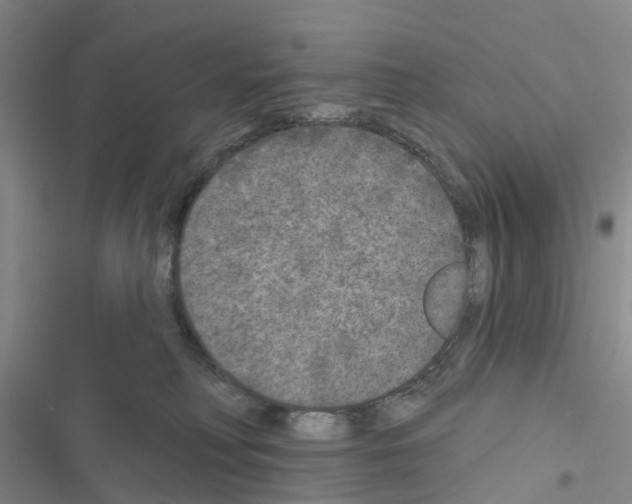 X0000116430230201001191517