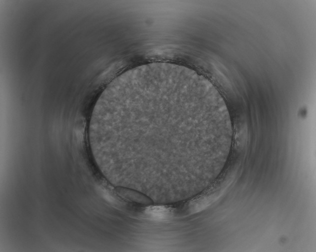 X0000116430231201001191517